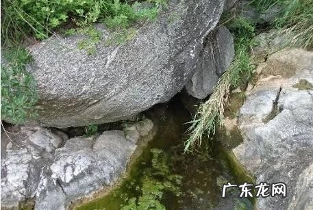 莱阳一条街在哪 莱阳哪有看风水厉害的