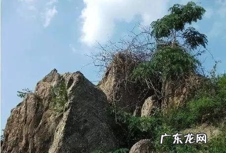 莱阳一条街在哪 莱阳哪有看风水厉害的