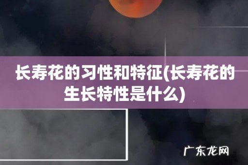 长寿花的生长特性是什么 长寿花的习性和特征