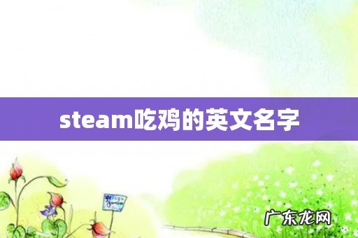 steam吃鸡的英文名字