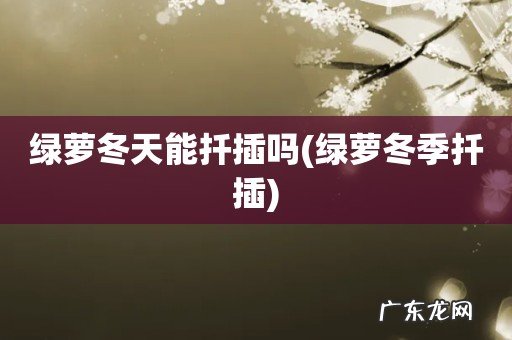 绿萝冬季扦插 绿萝冬天能扦插吗