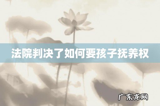 法院判决了如何要孩子抚养权
