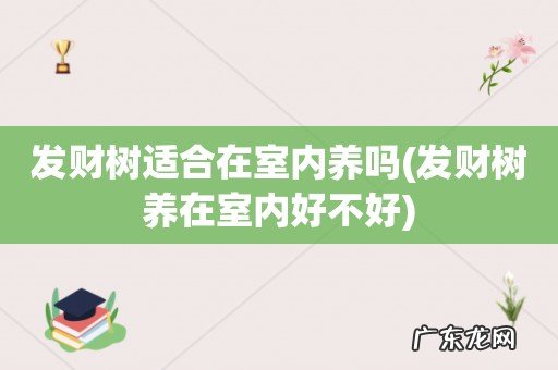 发财树养在室内好不好 发财树适合在室内养吗