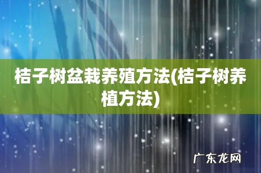桔子树养植方法 桔子树盆栽养殖方法