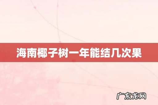 海南椰子树一年能结几次果