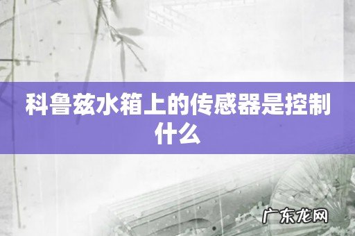 科鲁兹水箱上的传感器是控制什么