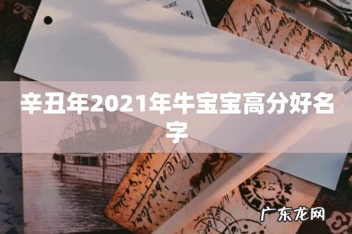 辛丑年2021年牛宝宝高分好名字