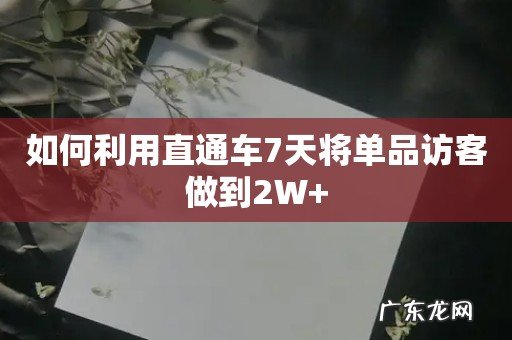 如何利用直通车7天将单品访客做到2W+