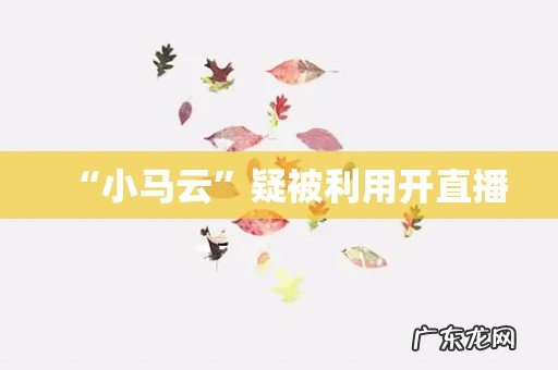 “小马云”疑被利用开直播