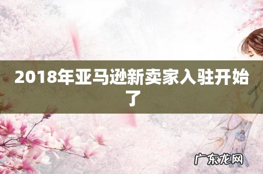 2018年亚马逊新卖家入驻开始了