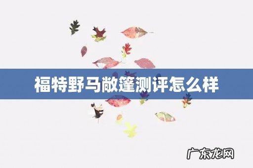 福特野马敞篷测评怎么样