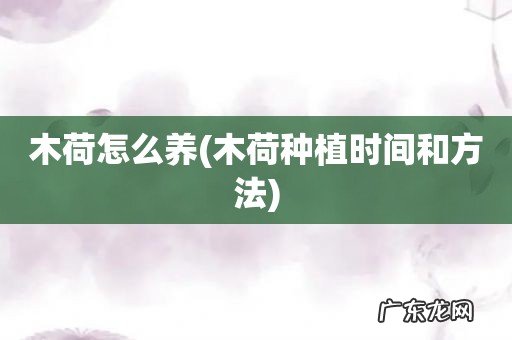 木荷种植时间和方法 木荷怎么养