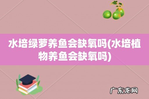 水培植物养鱼会缺氧吗 水培绿萝养鱼会缺氧吗