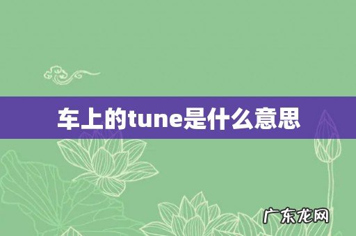 车上的tune是什么意思
