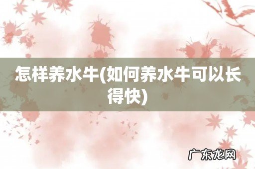 如何养水牛可以长得快 怎样养水牛