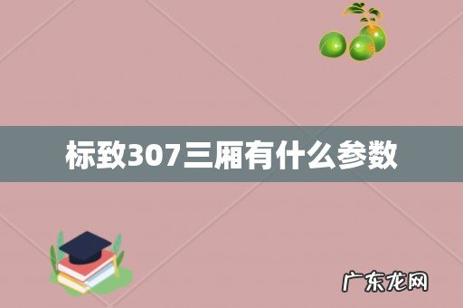 标致307三厢有什么参数