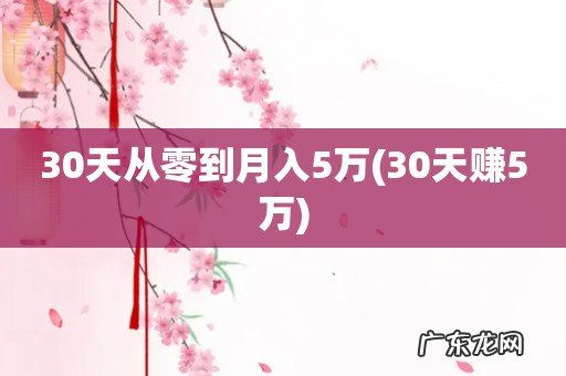 30天赚5万 30天从零到月入5万