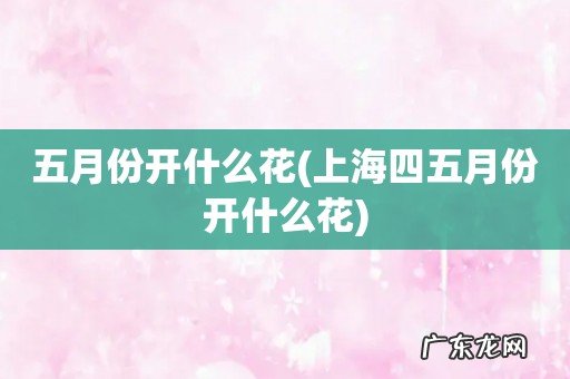 上海四五月份开什么花 五月份开什么花