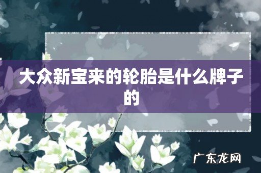 大众新宝来的轮胎是什么牌子的