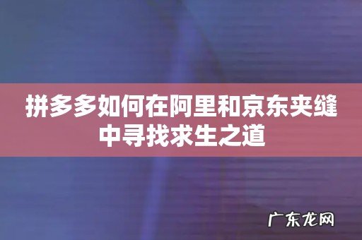拼多多如何在阿里和京东夹缝中寻找求生之道