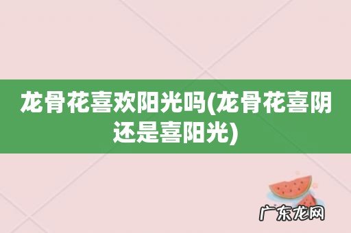 龙骨花喜阴还是喜阳光 龙骨花喜欢阳光吗