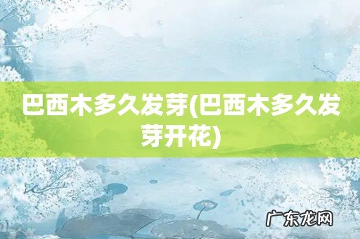 巴西木多久发芽开花 巴西木多久发芽