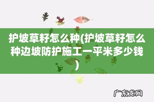 护坡草籽怎么种边坡防护施工一平米多少钱 护坡草籽怎么种