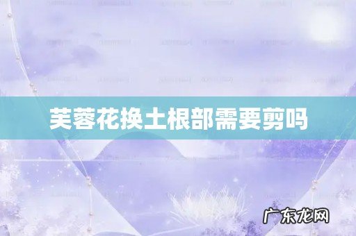 芙蓉花换土根部需要剪吗