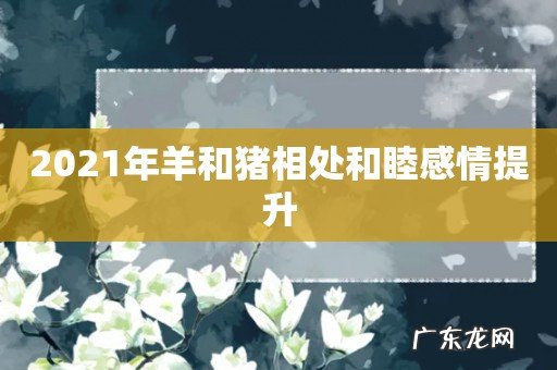 2021年羊和猪相处和睦感情提升