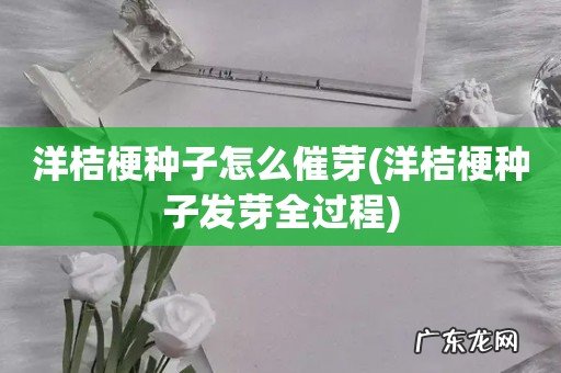 洋桔梗种子发芽全过程 洋桔梗种子怎么催芽