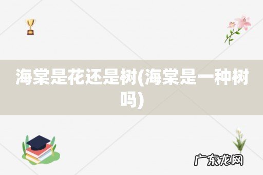 海棠是一种树吗 海棠是花还是树