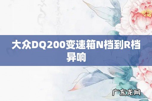 大众DQ200变速箱N档到R档异响