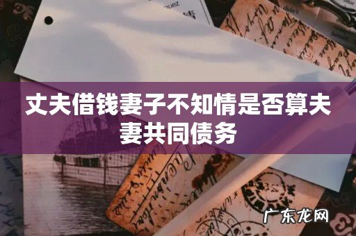 丈夫借钱妻子不知情是否算夫妻共同债务