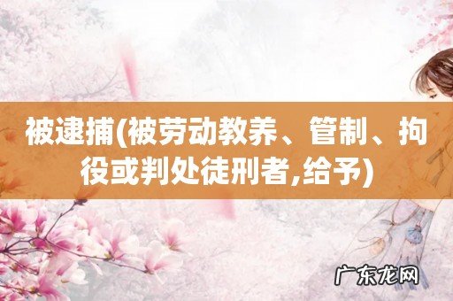 被劳动教养、管制、拘役或判处徒刑者,给予 被逮捕