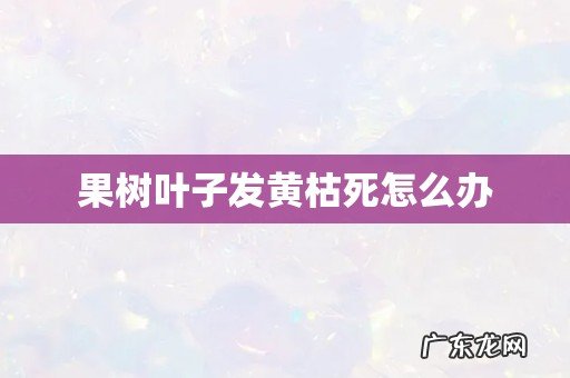 果树叶子发黄枯死怎么办