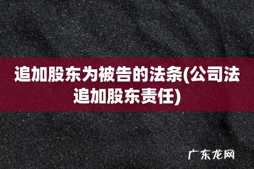 公司法追加股东责任 追加股东为被告的法条