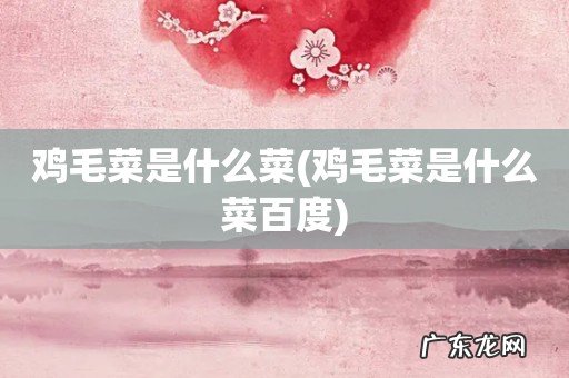 鸡毛菜是什么菜百度 鸡毛菜是什么菜