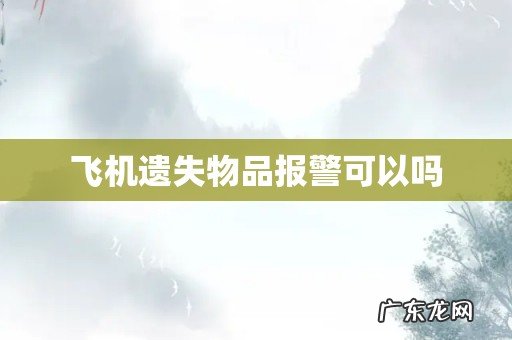 飞机遗失物品报警可以吗