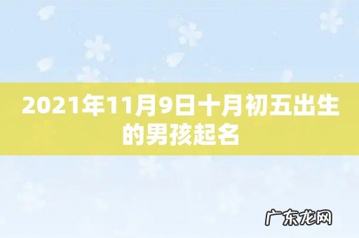 2021年11月9日十月初五出生的男孩起名