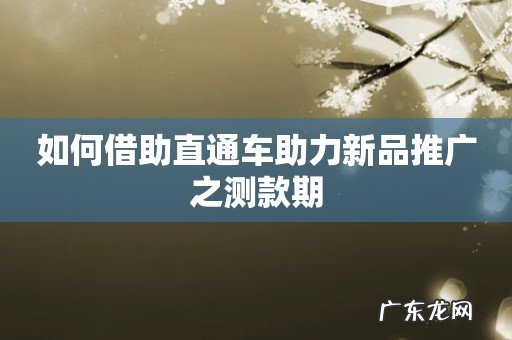 如何借助直通车助力新品推广之测款期