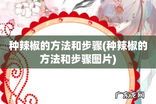 种辣椒的方法和步骤图片 种辣椒的方法和步骤