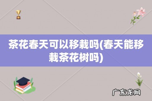 春天能移栽茶花树吗 茶花春天可以移栽吗