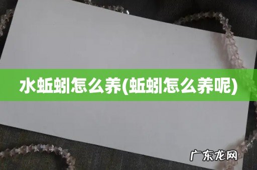 蚯蚓怎么养呢 水蚯蚓怎么养