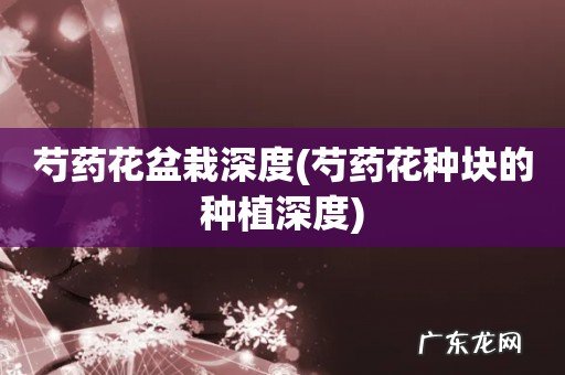 芍药花种块的种植深度 芍药花盆栽深度