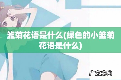 绿色的小雏菊花语是什么 雏菊花语是什么