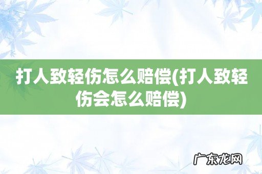 打人致轻伤会怎么赔偿 打人致轻伤怎么赔偿