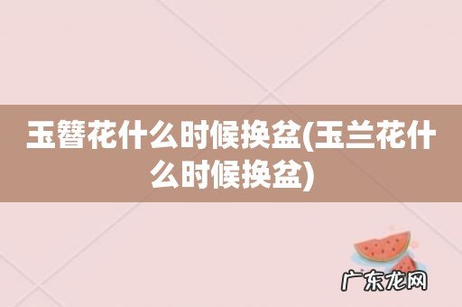 玉兰花什么时候换盆 玉簪花什么时候换盆