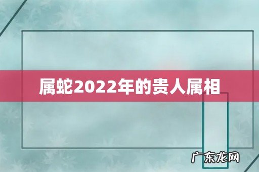 属蛇2022年的贵人属相