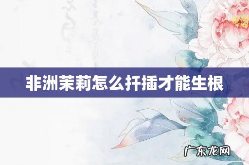 非洲茉莉怎么扦插才能生根