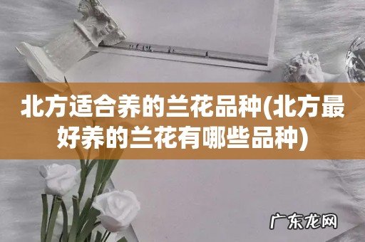 北方最好养的兰花有哪些品种 北方适合养的兰花品种